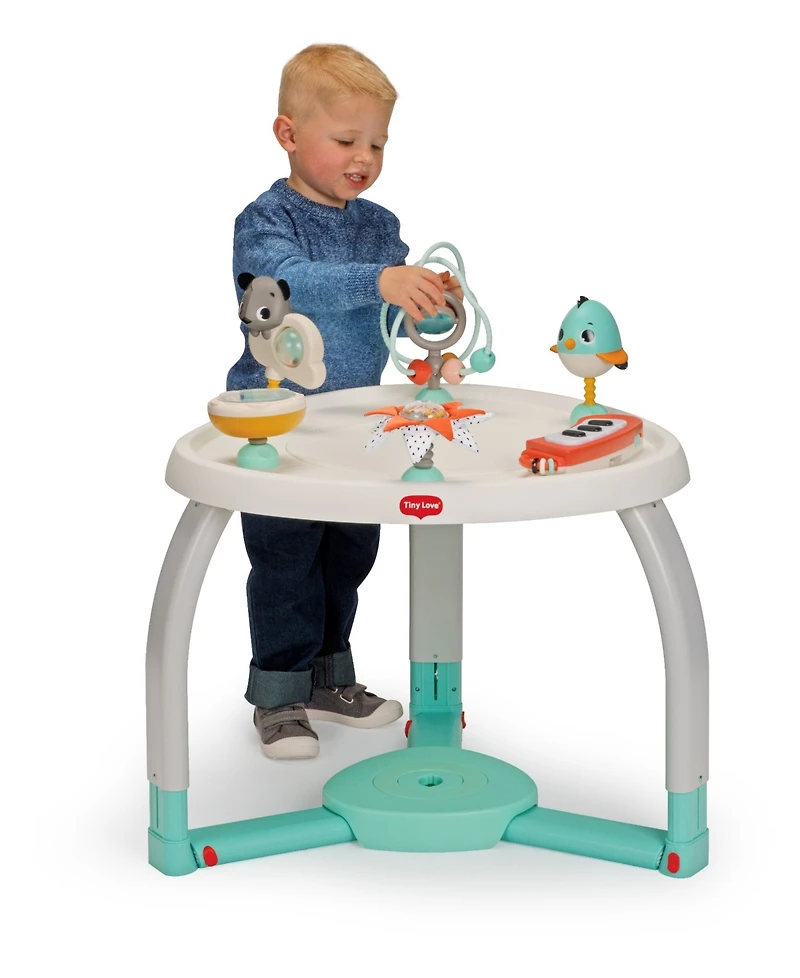 Tiny Love Infant and Toddler Stationary Activity Center