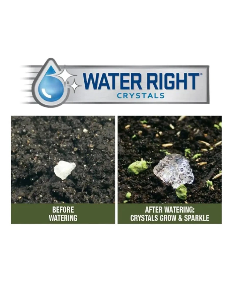 Earth Science Grown Essentials Bouquet Wild Flower Mix - 2lb bag