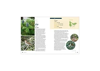 100 Plants to Feed the Birds- Turn Your Home Garden into a Healthy Bird Habitat by Laura Erickson