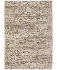 Dalyn Denizi DZ6 5'3" x 7'8" Area Rug