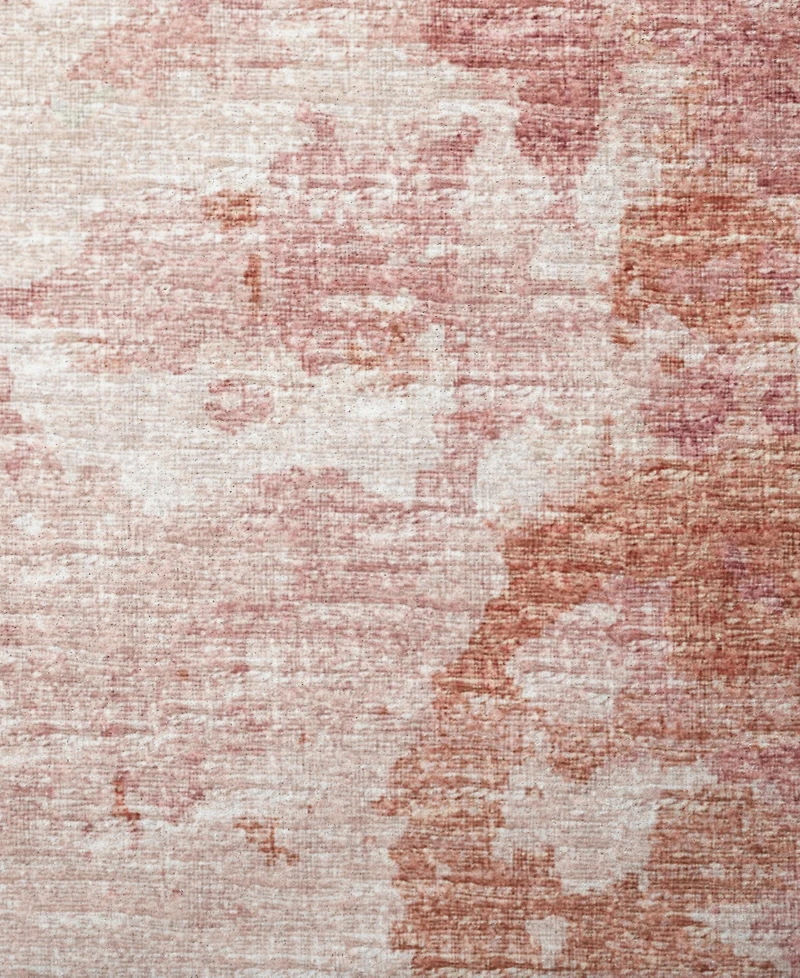 Dalyn Camberly Washable CM2 3' x 5' Area Rug