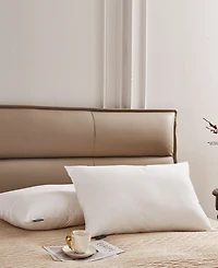Farm to Home Down Alternative 100% Cotton 2-Pack Pillow, Standard/Queen
