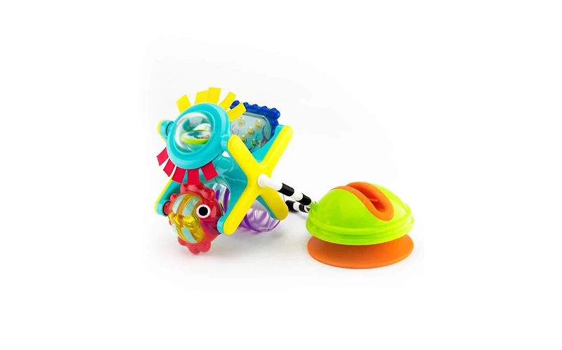 Sassy Fishy Fascination Station, Baby Developmental Toy