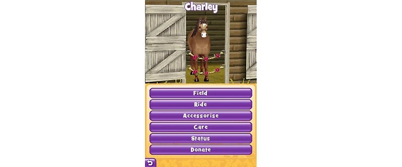 Square Enix Pony Friends 2 - Nintendo Ds