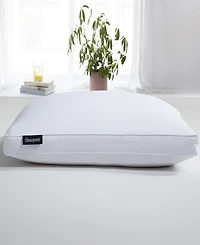 Beautyrest Luxury European Down Pillow, Standard/Queen