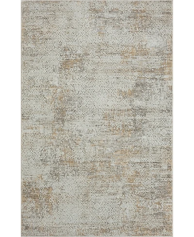 Lr Home Bienne BIENA283 5' x 7'11" Area Rug