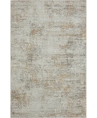 Lr Home Bienne BIENA283 5' x 7'11" Area Rug