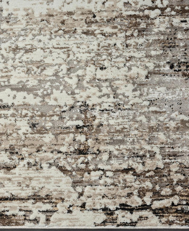 Lr Home Bienne BIENA286 4' x 6' Area Rug