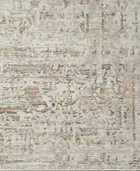 Lr Home Bienne BIENA284 5' x 7'11" Area Rug