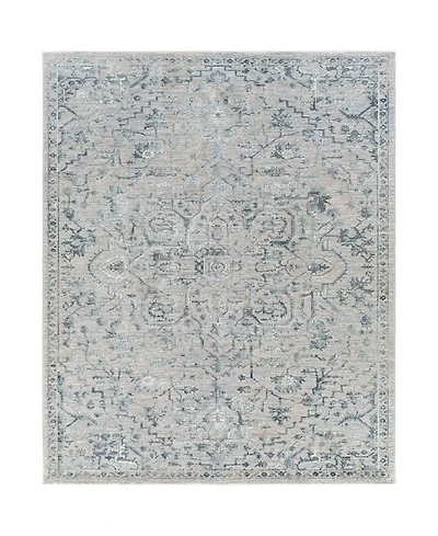 Livabliss Brunswick Bwk-2310 5' x 7'5" Area Rug