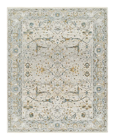 Livabliss Dresden Dre-2309 2' x 3' Area Rug