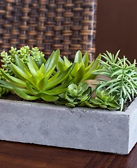 Nearly Natural Artificial Succulent Garden with Concrete Planter