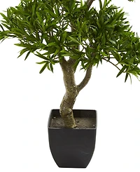 Nearly Natural 37" Bonsai Styled Podocarpus Artificial Tree