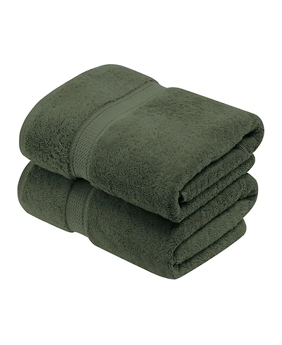 Superior 100% Egyptian Cotton 2-Pc Bath Towel Set