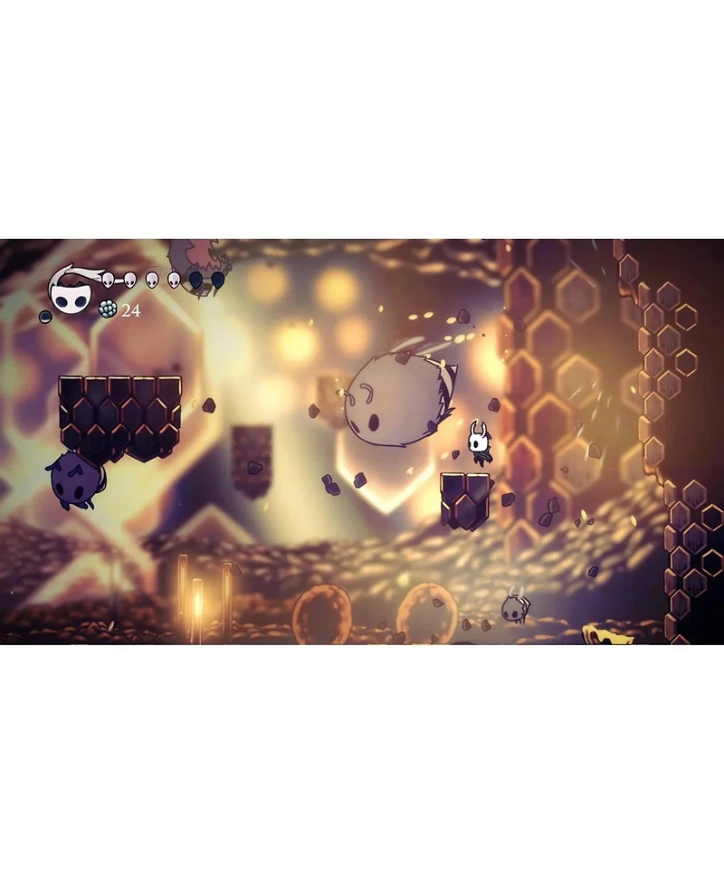 Nintendo Hollow Knight Standard Edition