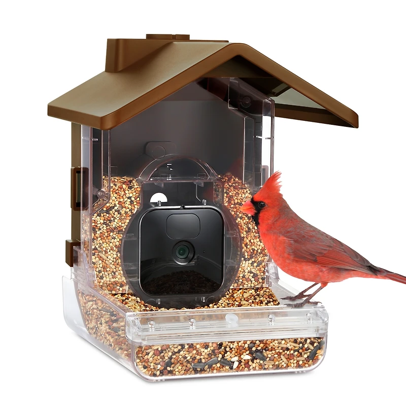 Wasserstein Bird Feeder Camera Case Compatible with Blink, Wyze, and Ring Cam - Bird Feeder for Bird Watching with Your Security Cam