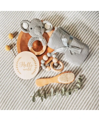 embe Newborn Baby Shower Gift Set by