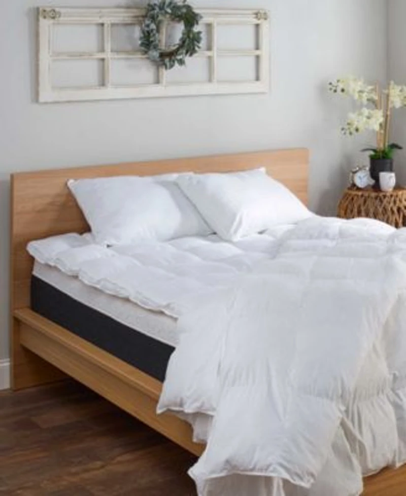 Beyond Down Traditional 2 Pack Pillows