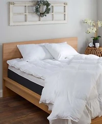 Beyond Down Traditional 2 Pack Pillows
