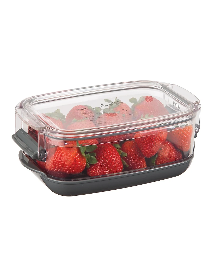 Prepworks Prokeeper Berry Produce Storage Container
