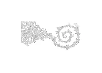Enchanted Forest- An Inky Quest and Coloring book Activity Books, Mindfulness and Meditation, Illustrated Floral Prints by Johanna Basford Illustrator