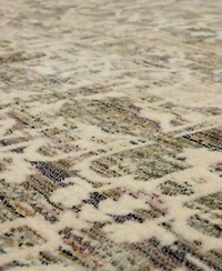 Karastan Divina Bliss Area Rug