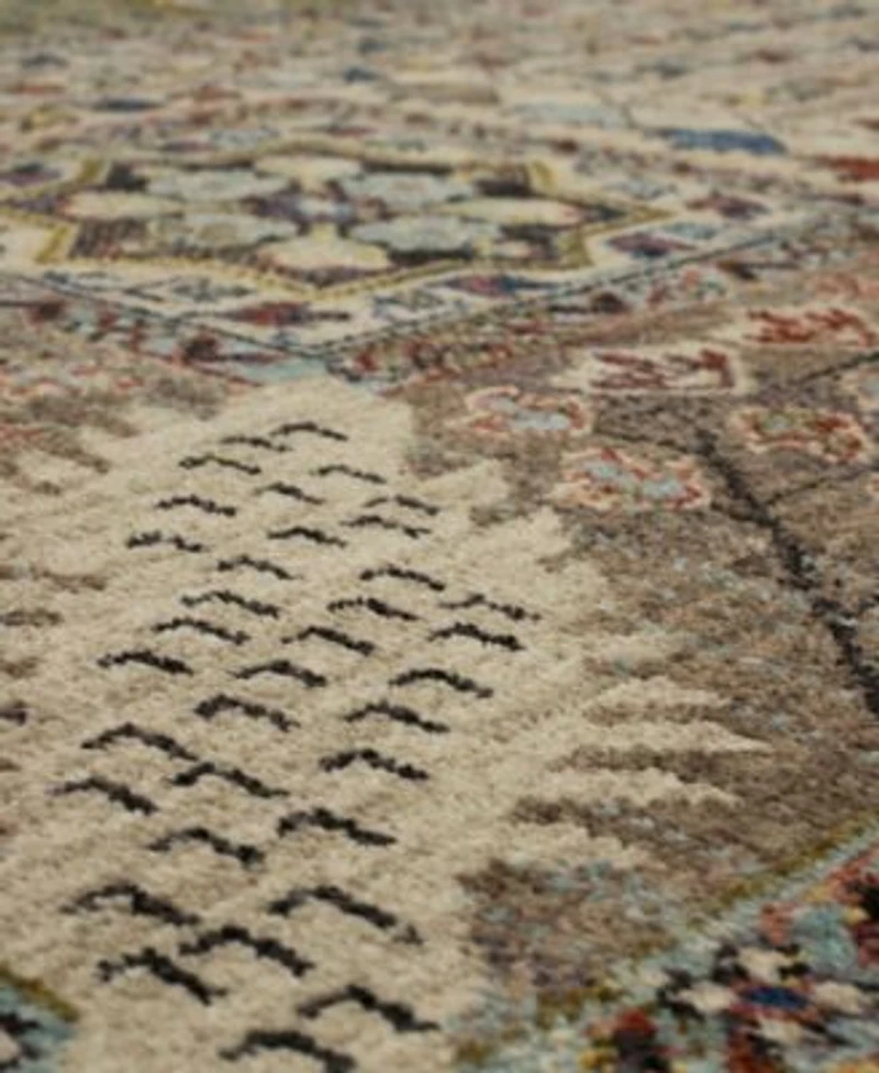 Closeout Karastan Pandora Avarice Area Rug