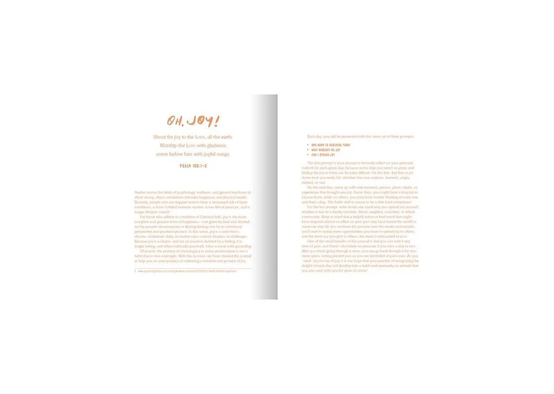 The 3-Minute Journal of Joy- A Three-Year Record of Each Day's Memorable Moments by Ink & Willow