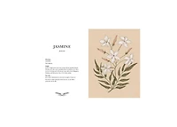 Floriography- An Illustrated Guide to the Victorian Language of Flowers by Jessica Roux