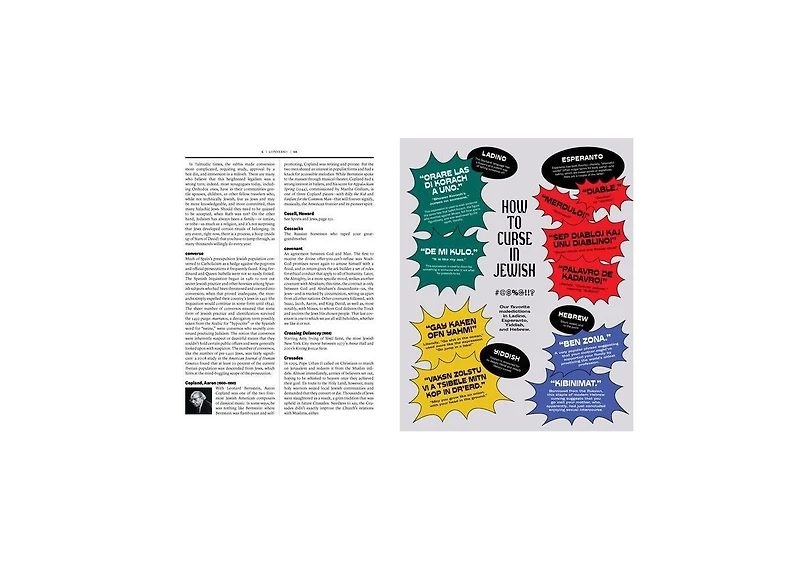 The Newish Jewish Encyclopedia- From Abraham to Zabar's and Everything in Between by Stephanie Butnick