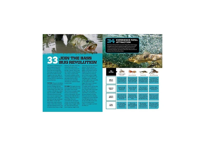 The Essential Fishing Handbook- 179 Essential Hints by Joe Cermele