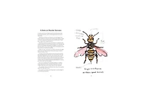 Omfg, Bees!- Bees Are So Amazing and You're About to Find Out Why by Matt Kracht