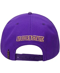 Men's Pro Standard Purple Alcorn State Braves Evergreen Primary Logo Snapback Hat