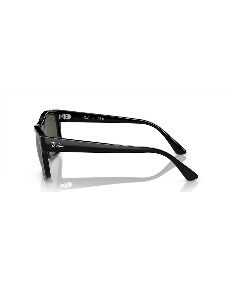 Ray-Ban Unisex Sunglasses RB4428