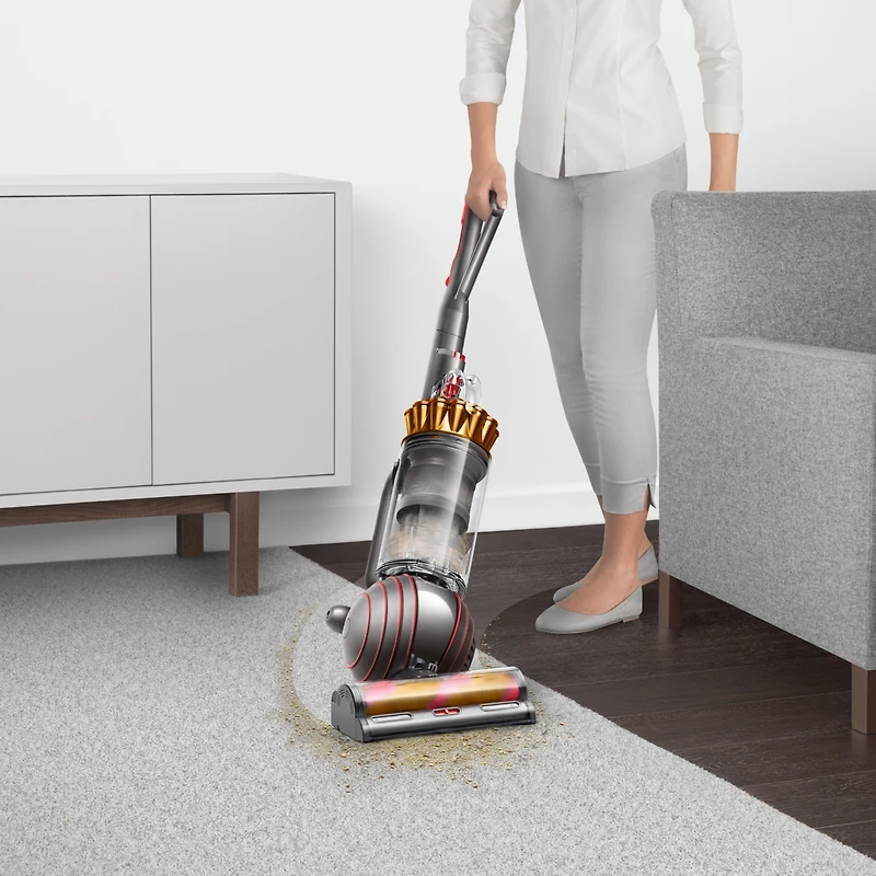 Dyson Ball Animal 3 Complete Upright Vacuum