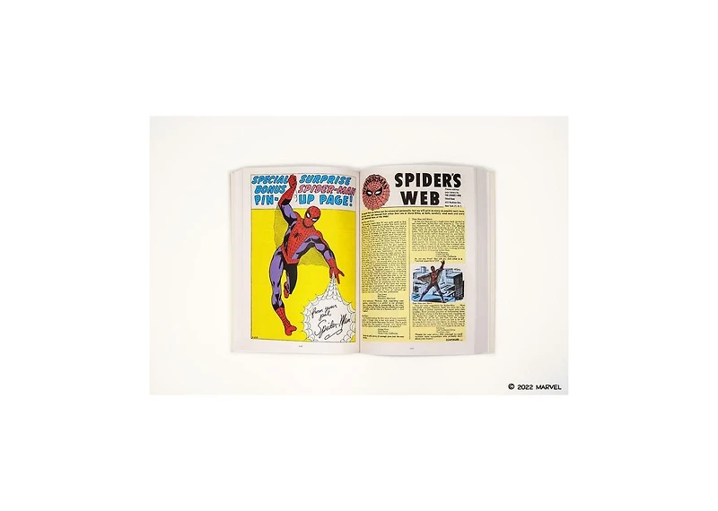The Amazing Spider-Man by Stan Lee