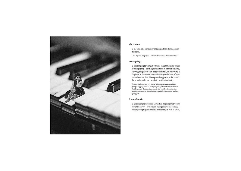 The Dictionary of Obscure Sorrows by John Koenig