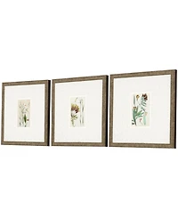 Antique-Like Botanical I Framed Art, Set of 3