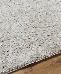 Livabliss Masterpiece High-Low Mpc-2316 5'3" x 5'3" Round Area Rug