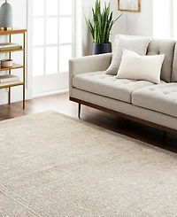 Livabliss Masterpiece High-Low Mpc-2314 2'8" x 3'11" Area Rug
