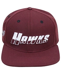 Men's Pro Standard Maroon Maryland Eastern Shore Hawks Evergreen Hawks Snapback Hat