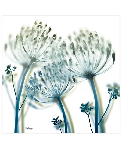 Empire Art Direct "Unfocused Beauty 2" Frameless Free Floating Tempered Glass Panel Graphic Wall Art, 24" x 24" x 0.2"