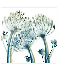 Empire Art Direct "Unfocused Beauty 2" Frameless Free Floating Tempered Glass Panel Graphic Wall Art, 24" x 24" x 0.2"