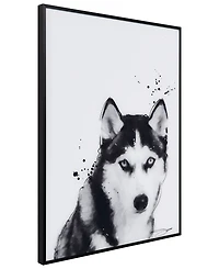 Empire Art Direct "Siberian Husky" Pet Paintings on Printed Glass Encased with a Black Anodized Frame, 24" x 18" x 1"