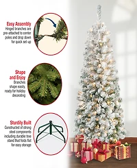 National Tree Company First Traditions 6' Acacia Medium Flocked Tree with Clear Lights