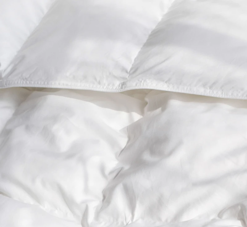 Extra Warm Down Alternative Duvet Comforter Insert - Twin/Twin Xl