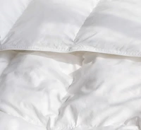 Extra Warm Down Alternative Duvet Comforter Insert - Twin/Twin Xl
