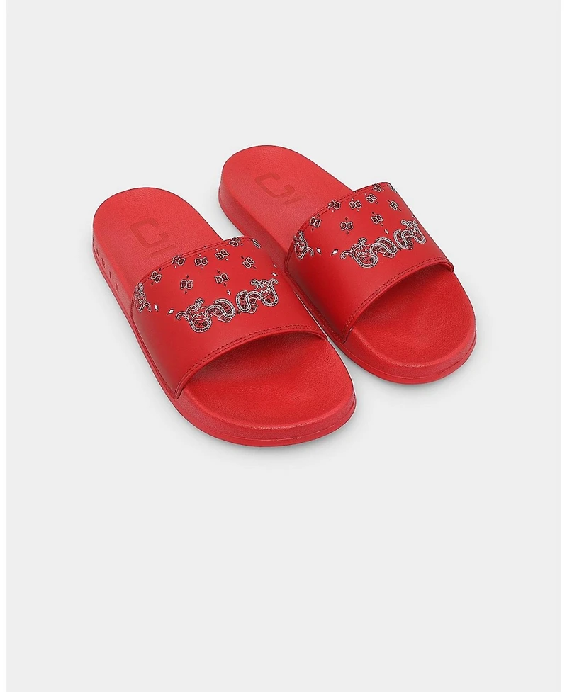 Carre Mens Raphael Slides