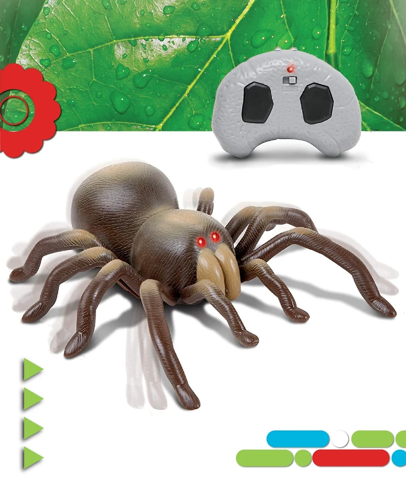 Discovery Kids Remote Control Moving Tarantula Spider Toy