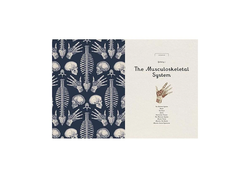 Anatomicum- Welcome to the Museum by Jennifer Z. Paxton